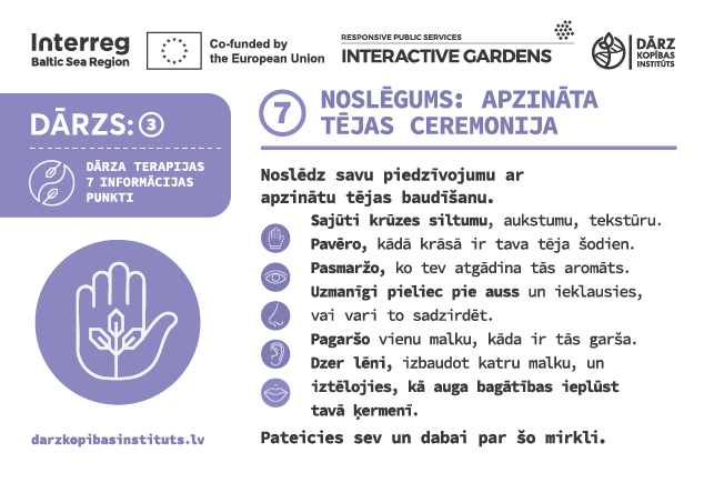 Noslēgums: apzināta tējas ceremonija