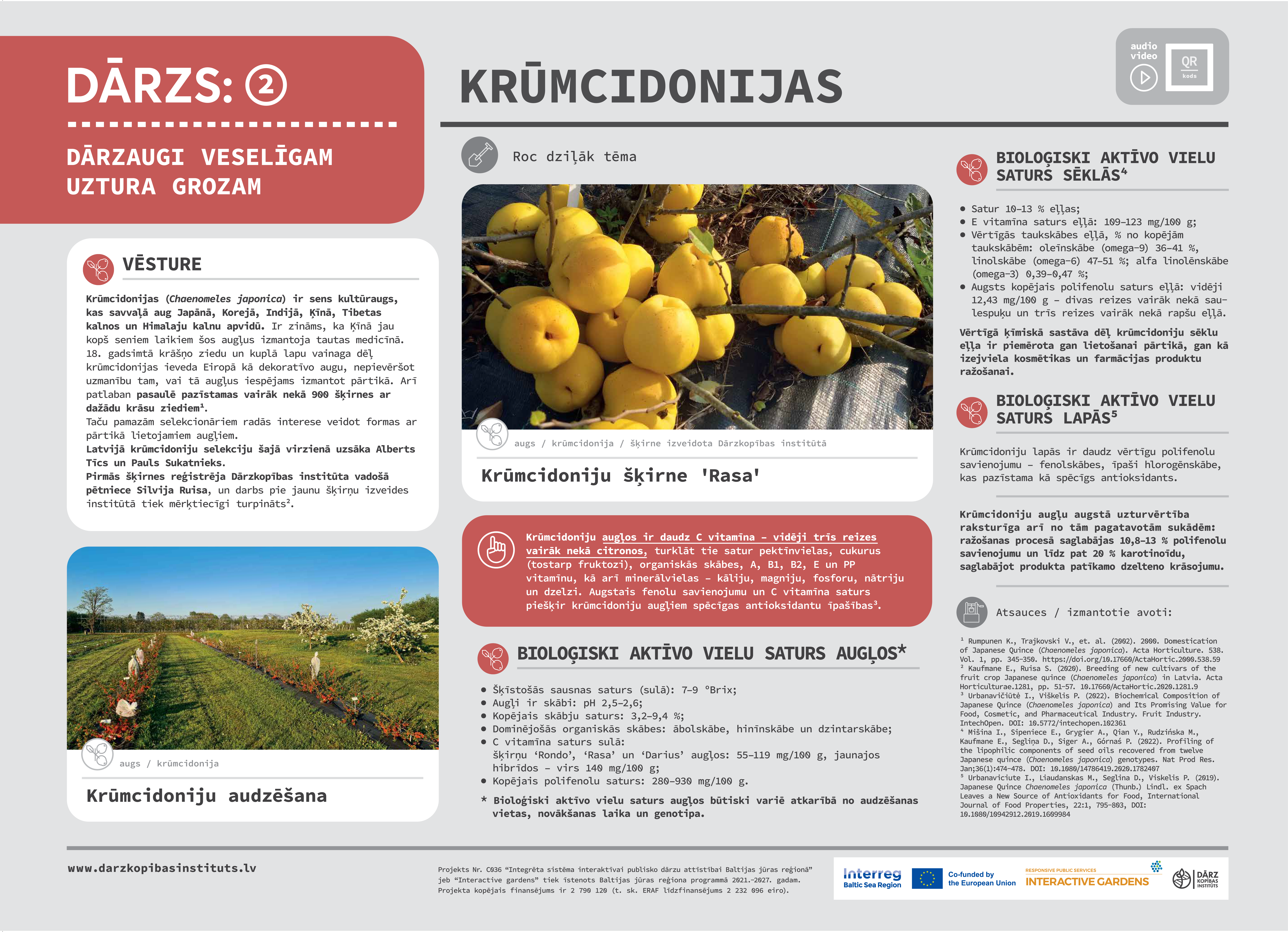 Krūmcidonijas