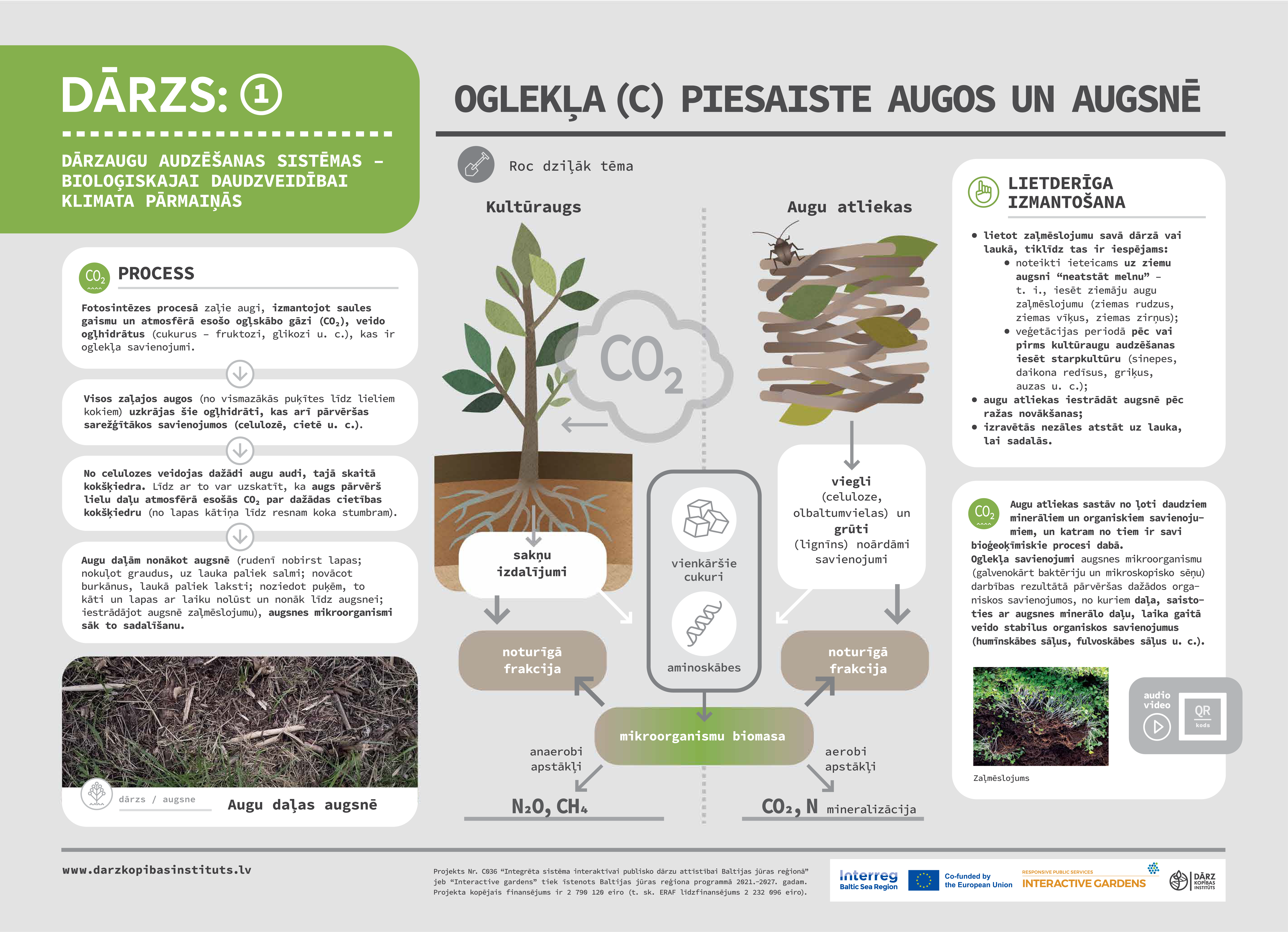 Oglekļa piesaiste augos un augsnē
