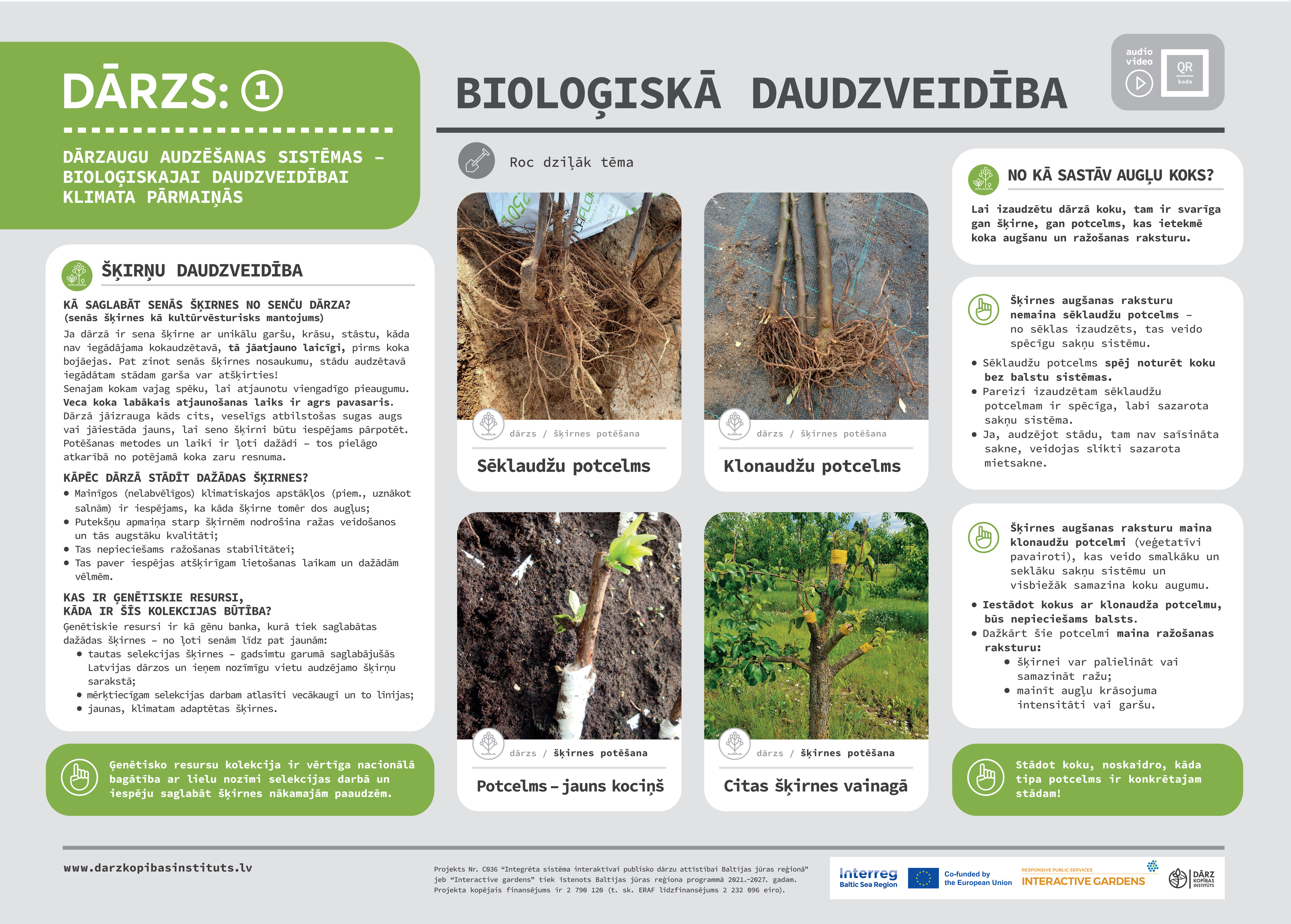 Biodiversity