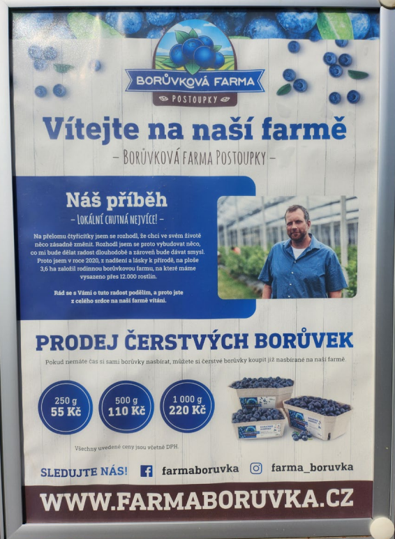 Boruvkova saimniecība