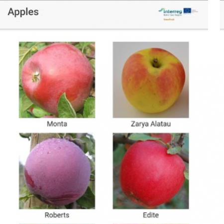 lietotne Resistant apples