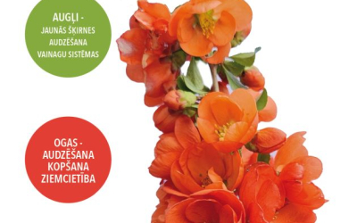 Profesionālā DĀRZKOPĪBA Nr.22