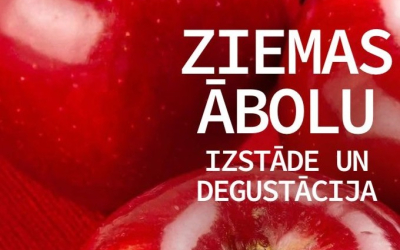 Izstāde Ziemas āboli